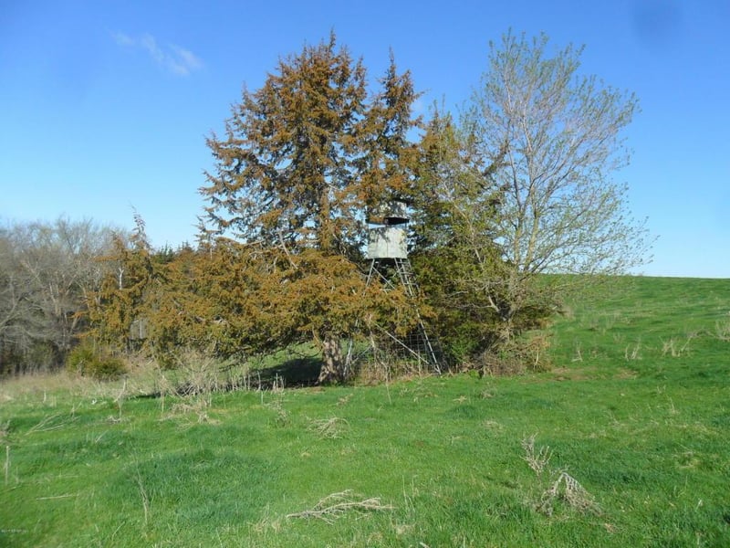 xxx 39 Hw, Elba, MN 55972