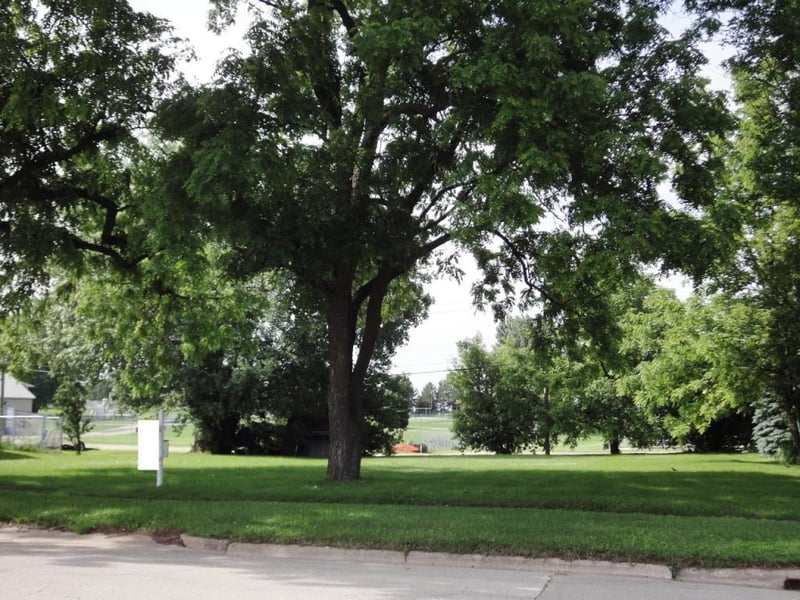 330 2nd Ave NW, Plainview, MN 55964