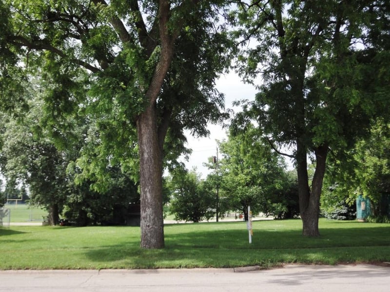 330 2nd Ave NW, Plainview, MN 55964