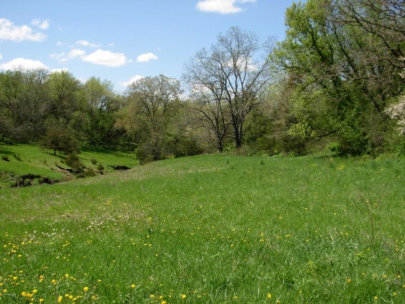 XXXY Hickory Rd, Lanesboro, MN 55949