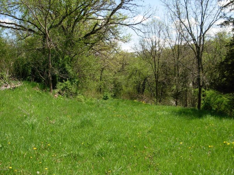 XXXY Hickory Rd, Lanesboro, MN 55949