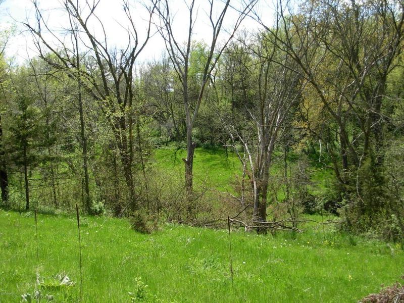 XXXY Hickory Rd, Lanesboro, MN 55949