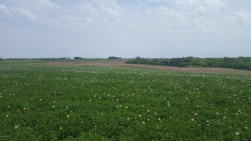 xxx County 28, Altura, MN 55910
