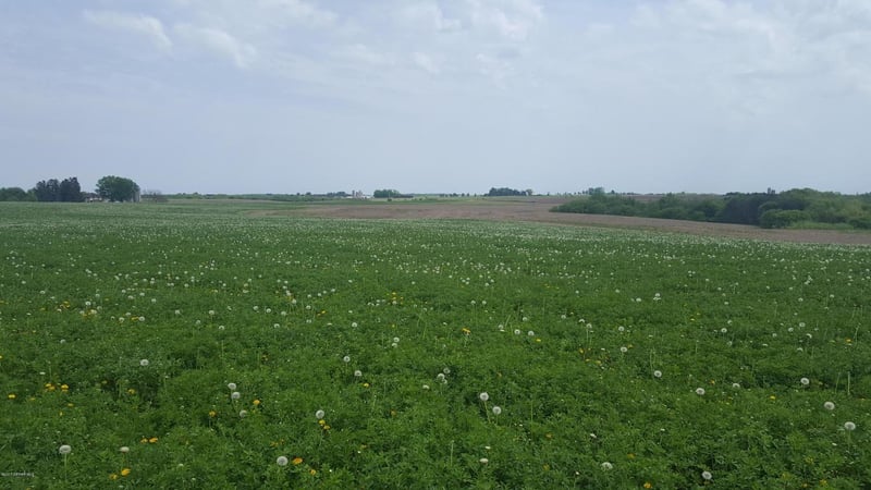 xxx County 28, Altura, MN 55910