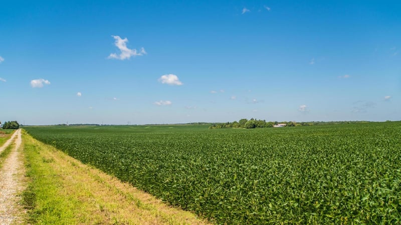 TBD 110th St SW, Byron, MN 55920
