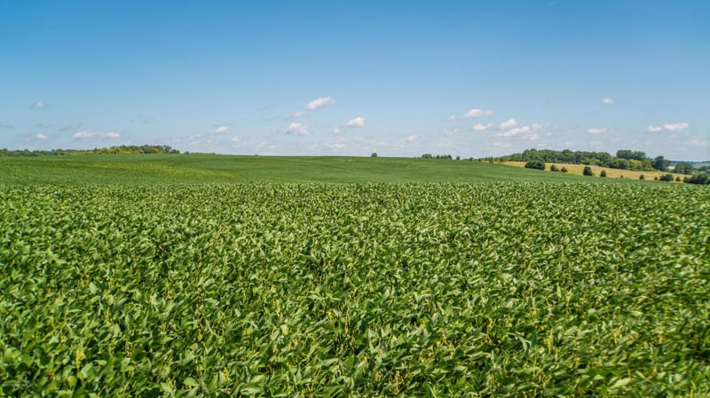 TBD 110th St SW, Byron, MN 55920