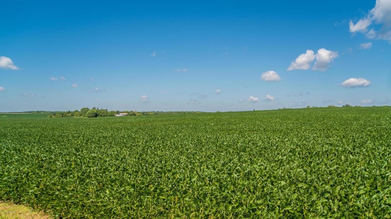 TBD 110th St SW, Byron, MN 55920