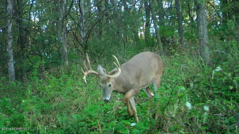 TBD Klondike Rd, Harmony, MN 55939