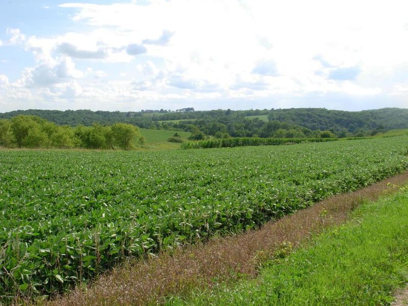 TBD 296th St, Lanesboro, MN 55949