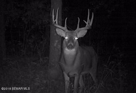 TBD Gates Coulee Dr, Houston, MN 55943