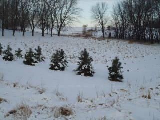 4976 75th St NW, Oronoco, MN 55960