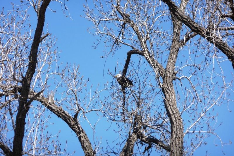 S2299 Cr 00, Buffalo City, WI 54622