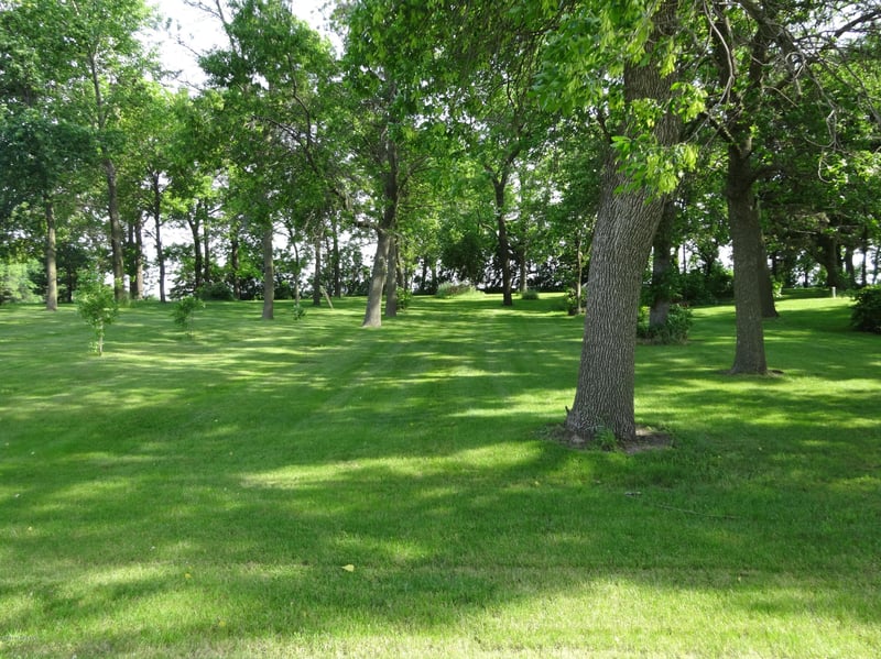 8202 600th Ave, Walters, MN 56097