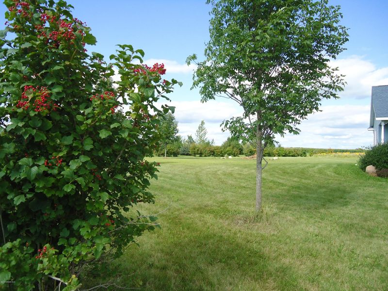 3748 County 102 Rd SE, Eyota, MN 55934