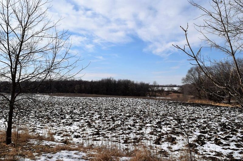 XXX Kutz Xing, Independence, MN 55328