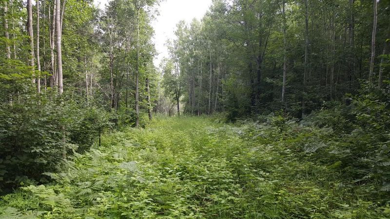 TBD Bluegill Rd, Ironton, MN 56455