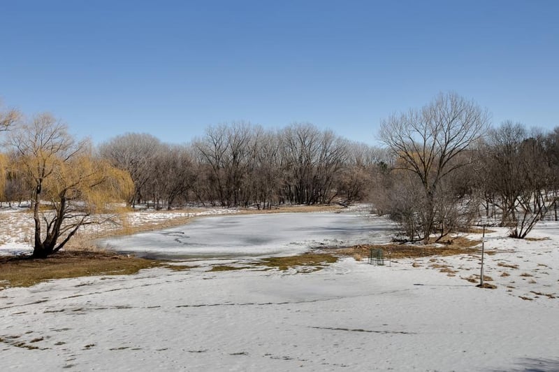 8 Sunfish Ln, Sunfish Lake, MN 55118