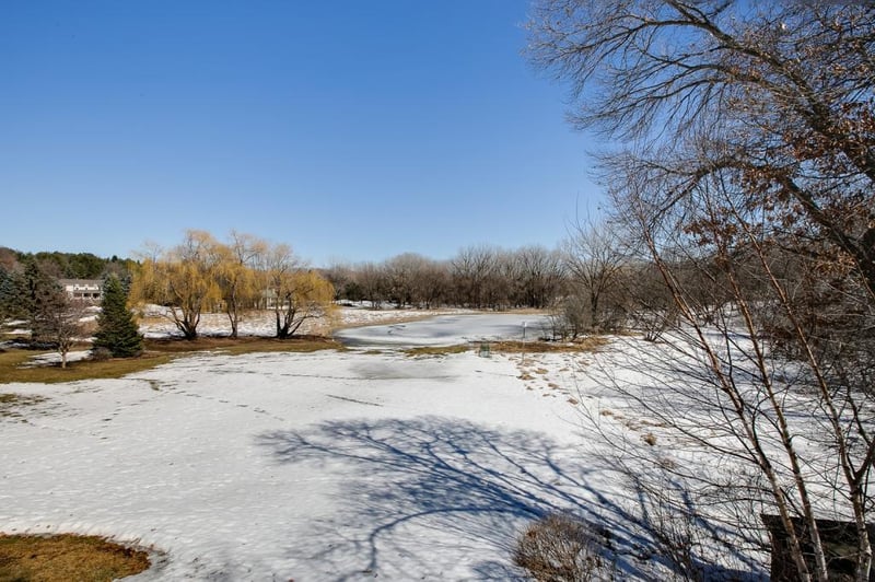 8 Sunfish Ln, Sunfish Lake, MN 55118