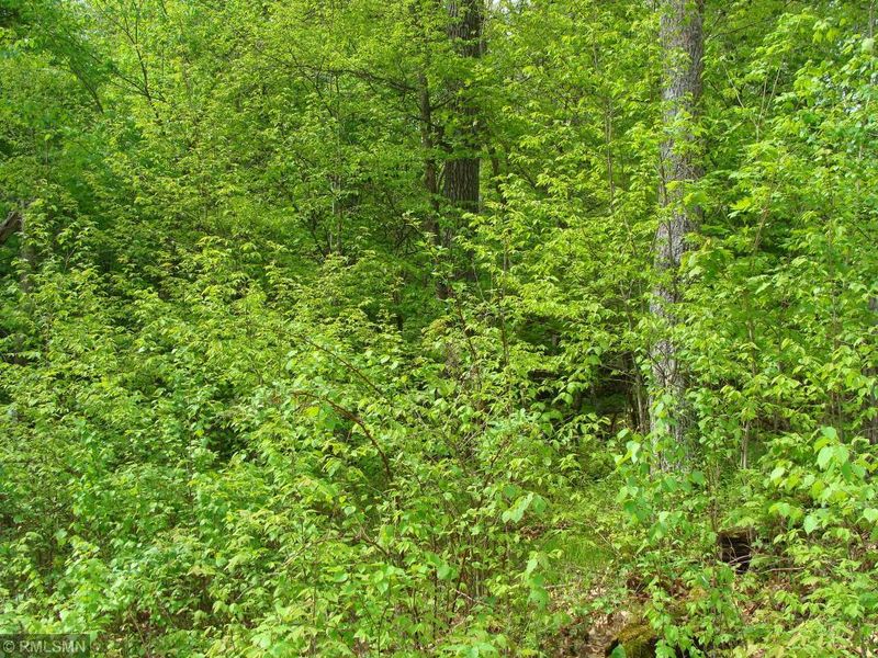 XXX Lot 12 209th St, Centuria, WI 54824