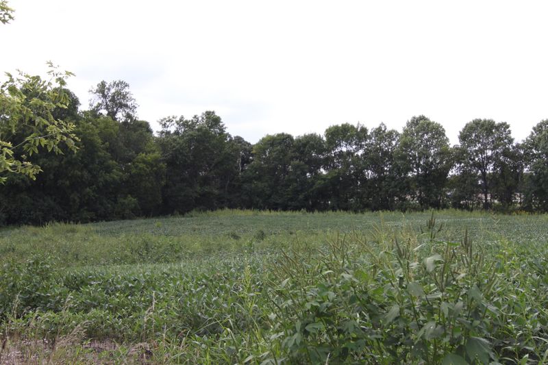 Xxx NE Hwy 71, Willmar, MN 56201