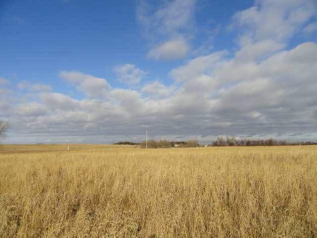 Xxxx 11 St NE, Spicer, MN 56288