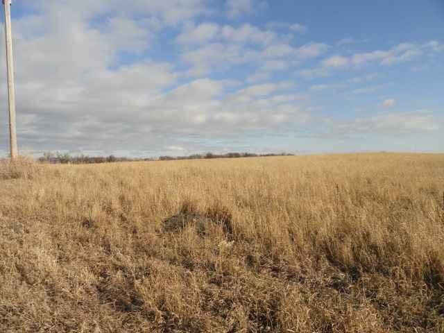 Xxxx 11 St NE, Spicer, MN 56288