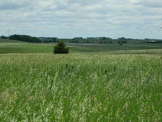 County Rd Jones Ave, Rushmore, MN 56168