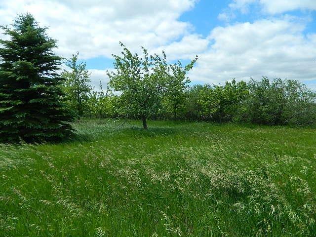 County Rd Jones Ave, Rushmore, MN 56168