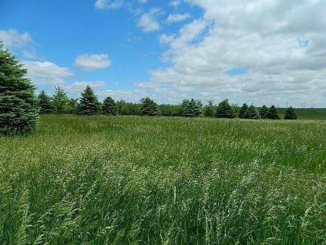 County Rd Jones Ave, Rushmore, MN 56168