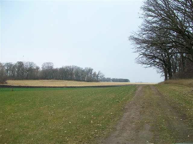 51866 NE 298 St, Grove City, MN 56243