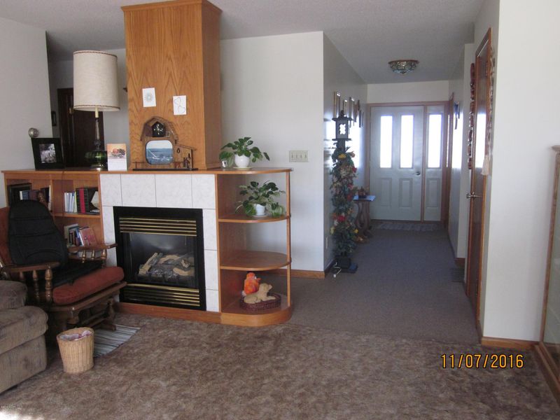 213 E Oak St, Tyler, MN 56178