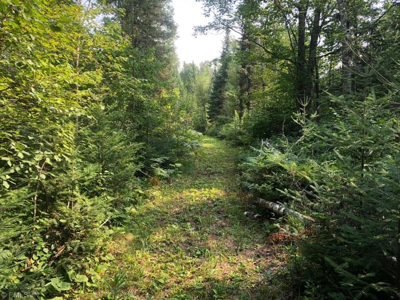 TBD Bear Head State Park Rd, Ely, MN 55731