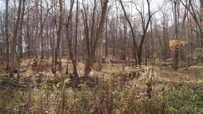 0 250th Ave, Maiden Rock, WI 54750
