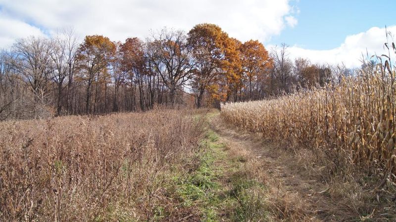 0 250th Ave, Maiden Rock, WI 54750