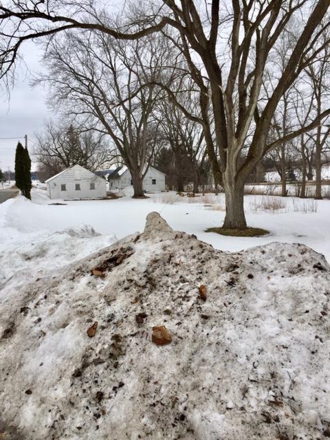 505 S Minnesota Ave, Oronoco, MN 55960