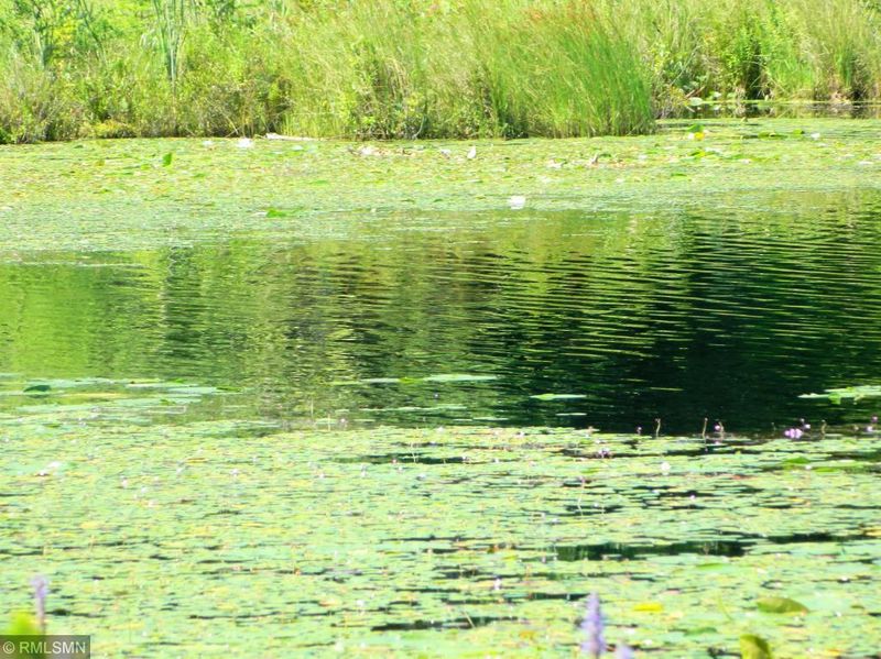 Lot 3 Cranberry Marsh Rd, Webster, WI 54893