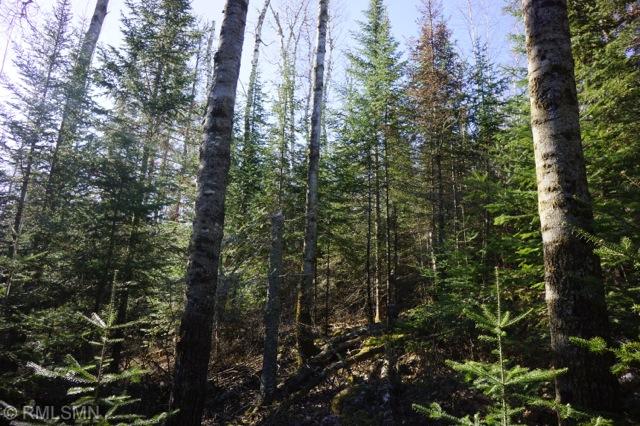 xxx Crane Lake Rd, Crane Lake, MN 55725