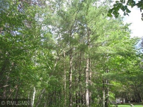 TBD Pine Cone Ln NW, Walker, MN 56484