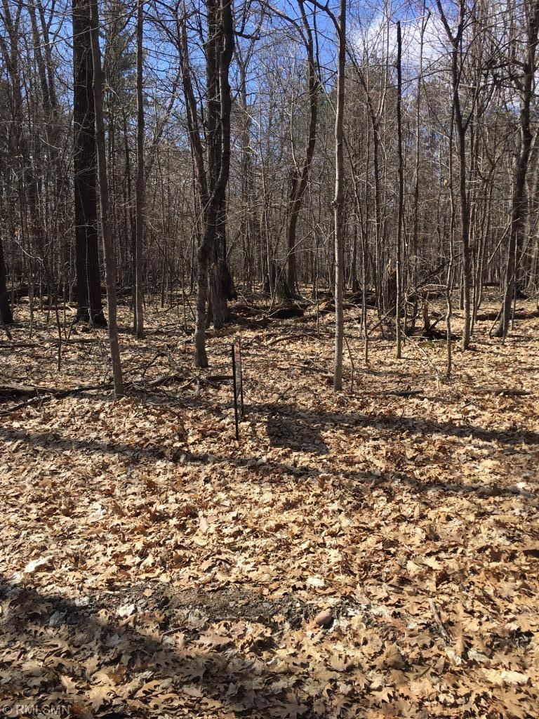 Lots 3-5 Pinedale St, Crosslake, MN 56442