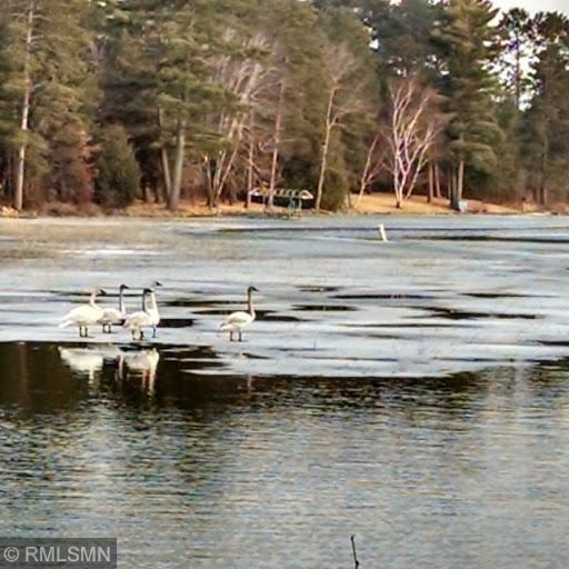1956 Norway Lake Rd SW, Pine River, MN 56474
