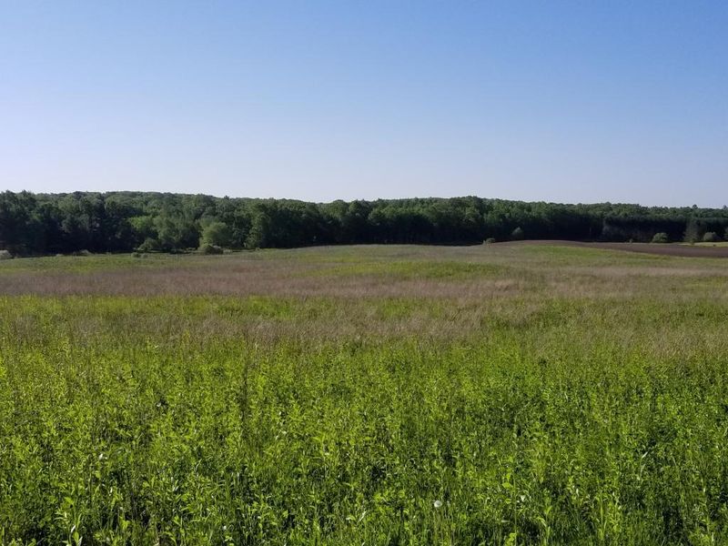 XXX Grassy Lake Rd, Barronett, WI 54813