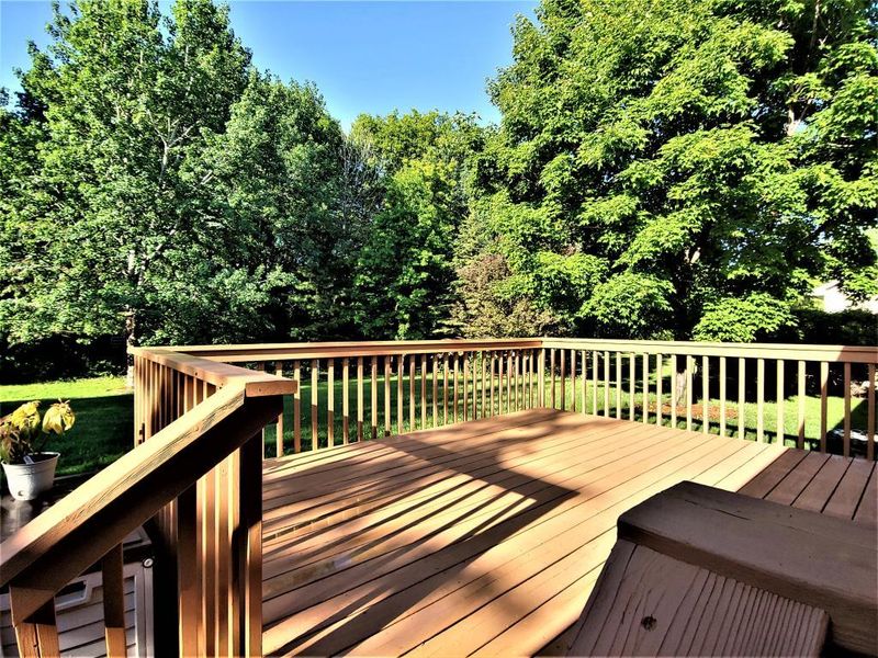 204 Greenbriar Ln, Buffalo, MN 55313