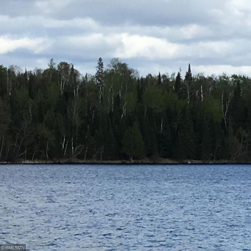 999 Lot C Big Mccarthy Lake Dr, Nashwauk, MN 55769