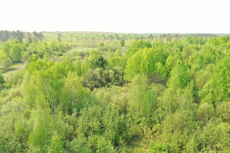36066 Degerstrom Rd, Askov, MN 55704
