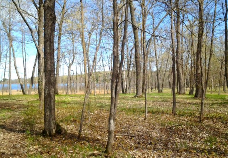TBD 290th St, Aitkin, MN 56431