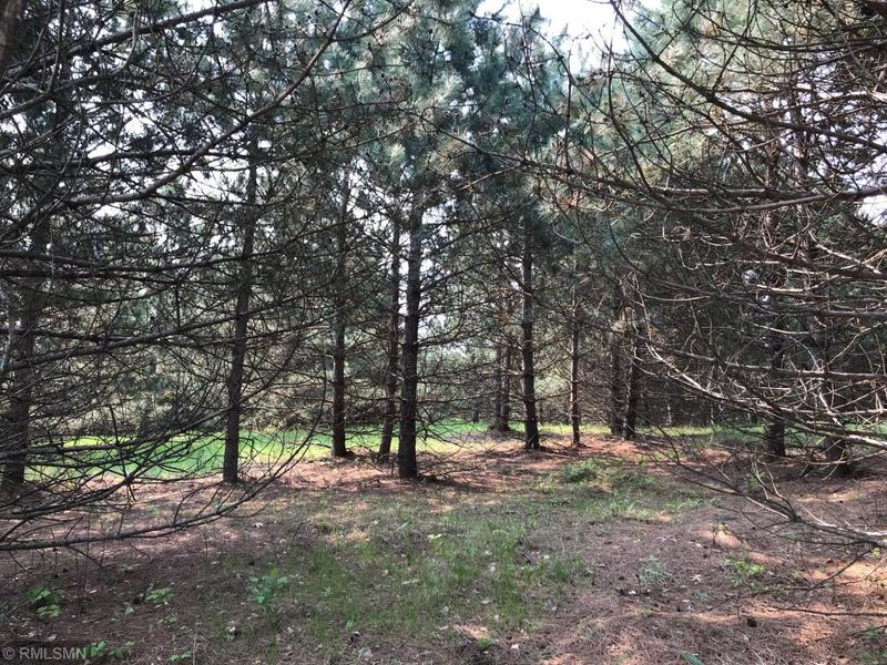 xxxx 340th Ct NW, Cambridge, MN 55008