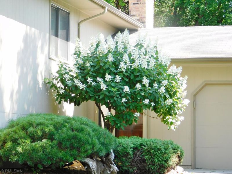 7140 Maplewood Dr, Maple Grove, MN 55311