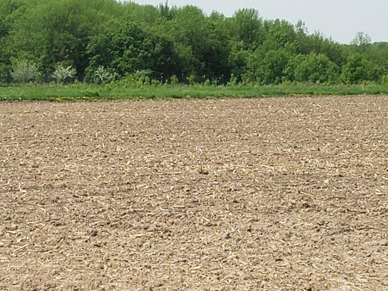 Lot 2 170th Ave, Saint Croix Falls, WI 54824