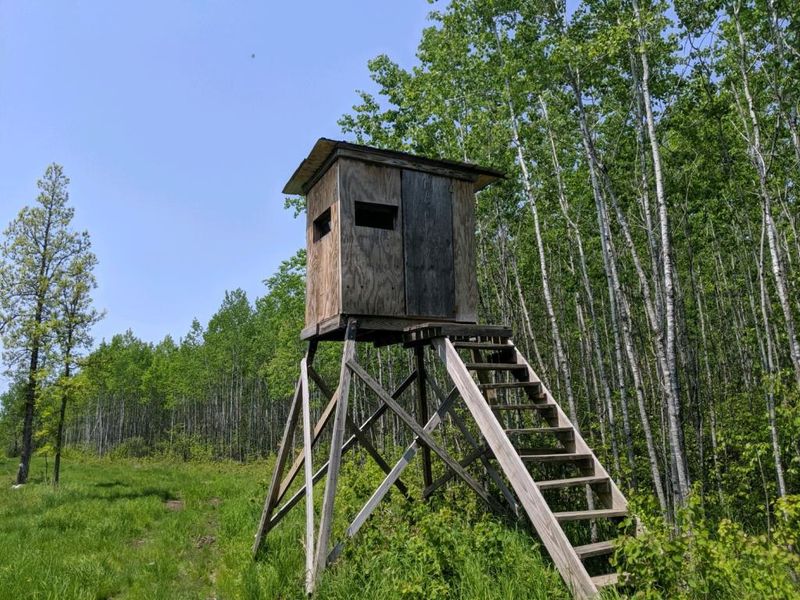XXX Walczak Rd, Kettle River, MN 55757