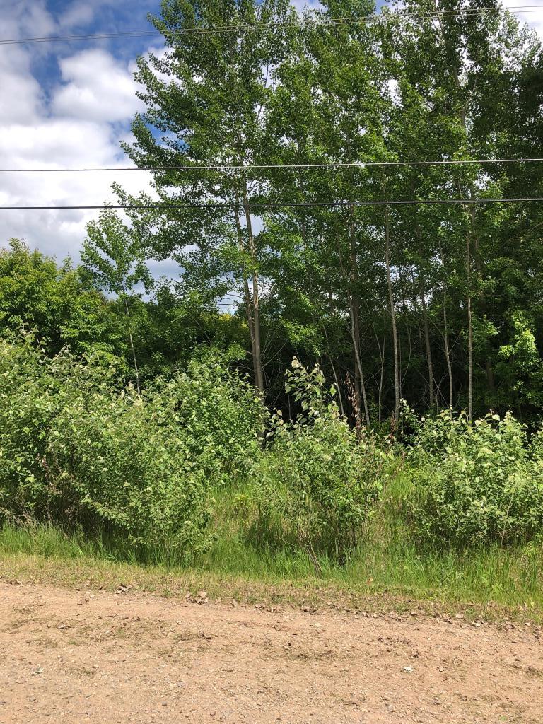 18XXX Vassar St NE, Columbus, MN 55025